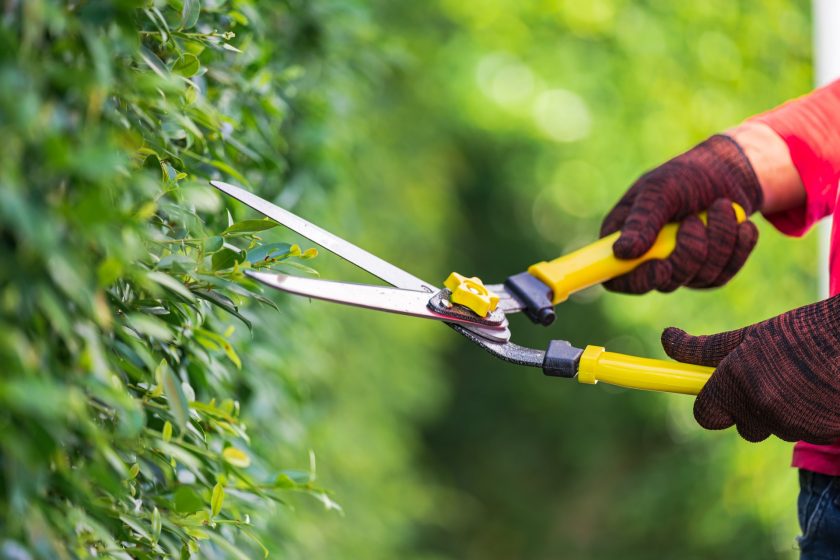 Najważniejsze narzędzia do jesiennych prac ogrodowych
