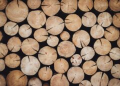 Obróbka drewna – co można zrobić z drewna?